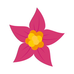 plumeria flower icon, flat style