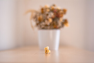 Puget of Dried Flowers in White Pot