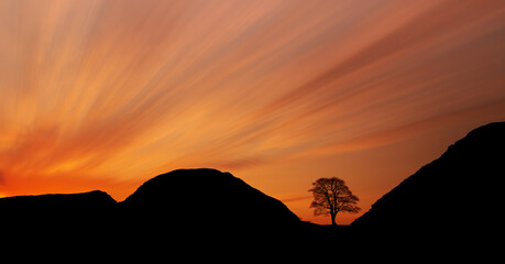 Sycamore Gap tree at Hadrians wall silhouetted against an orange sky at sunset. Northumberland...