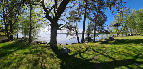 Walk by the lake among the trees on a sunny spring day.