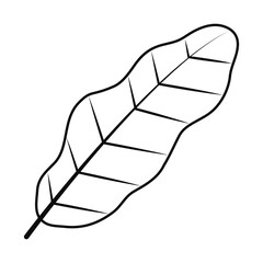 banana leaf icon, line style