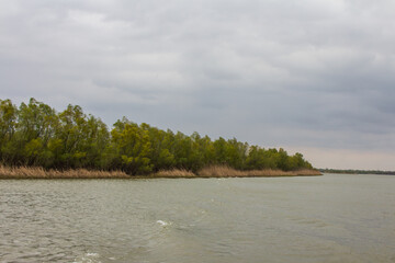 The river bank in the Danube Biosphere Reserve near the town of Vylkove. Ukraine