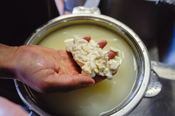 The home-made cheese maker produces handmade mozzarella with fresh quality milk. Concept: tradition, italy, mozzarella.The process of making mozzarella. Film noise