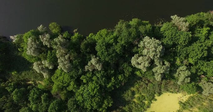 Aerial view to summer forest and river bend of Seversky Donets