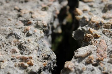 The crack,the fissure in the concrete