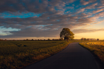 Dramatischer Sonnenuntergang
