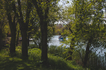boats on the river behind trees