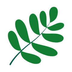 tropical branch with leaves icon, flat style