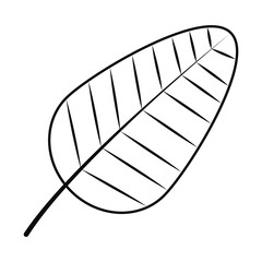 tropical leaf icon, line style