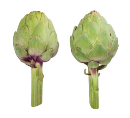 artichoke