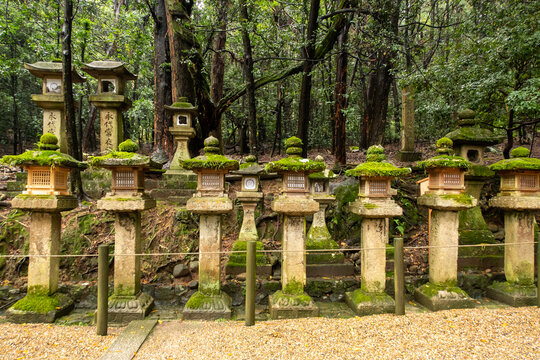 Row of old traditional japanese stone lanterns coverd with green vivid moss in the forest in Nara Park in Kasuga Taisha shrine during autumn, Japan. 