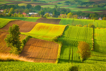 Fields in Ponidzie during spring. Poland, Małopolska © PawelUchorczak