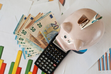 Fototapeta premium pig piggy bank with money, euro banknote
