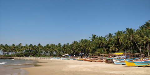 Fototapeta na wymiar Tarkarli Beach sunshine sky coconut tree malvan ,Goa