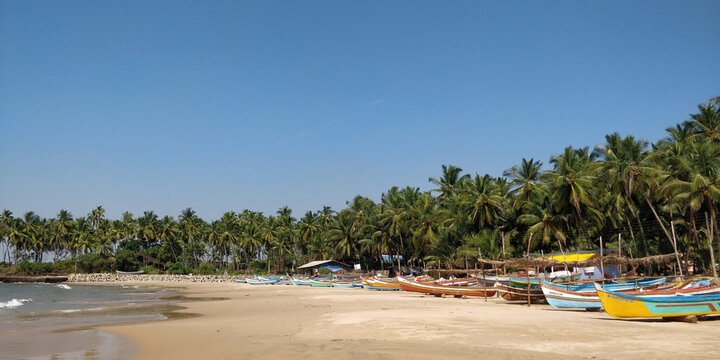 Tarkarli Beach sunshine sky coconut tree  malvan ,Goa