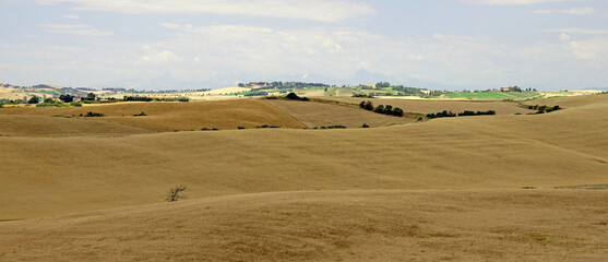 fields and hills in tuscany