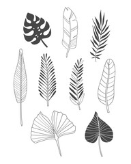 Vector illustration of various tropical leaves made in lines and spots.