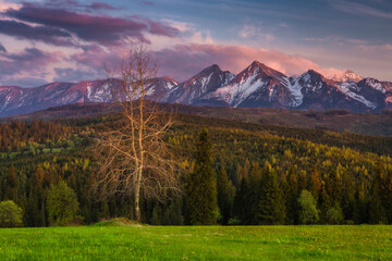 Fototapeta na wymiar Spring in the Tatra Mountains. Green fields against the backdrop of snowy peaks. Landscape photo from Lesser Poland.