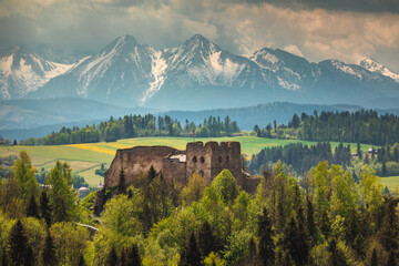 Spring in the Tatra Mountains. Green fields against the backdrop of snowy peaks. Landscape photo from Lesser Poland. - obrazy, fototapety, plakaty