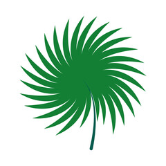 tropical fan leaf icon, flat style