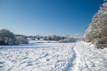 winter landscape with snow
