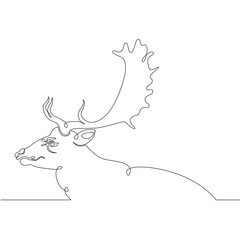 portrait head wild deer, elk, roe deer