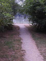 path in the park overlooking the green bushes to a wide river with a slight haze