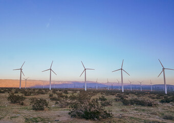 wind turbines farm