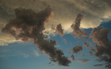 Clouds and birds high in the sky.