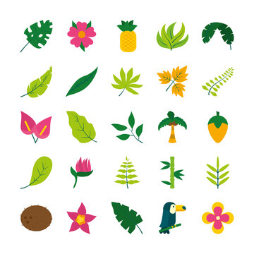 coconut and tropical leaf icon set, flat style