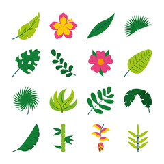 Fototapeta na wymiar flowers and tropical leaf icon set, flat style