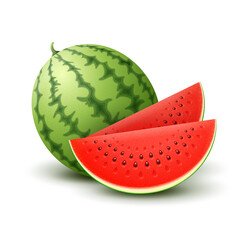 Vector Realistic Watermelon