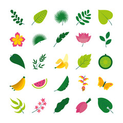 tropical fruits and flowers icon set, flat style