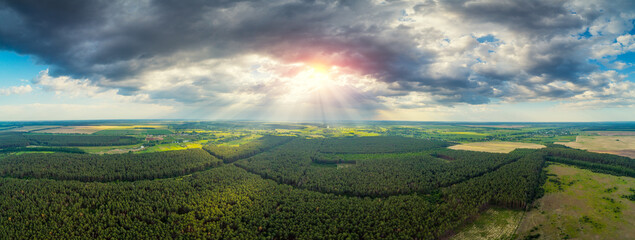 Rural landscape with beautiful dramatic stormy sky. Cloud in shape of mushroom on the sky. Aerial view of countryside and pine forest in summer.