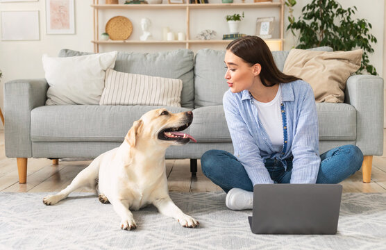 Young woman at home with laptop and a dog