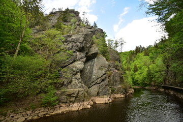 Riegrova naucna stezka, Rieger's nature trail