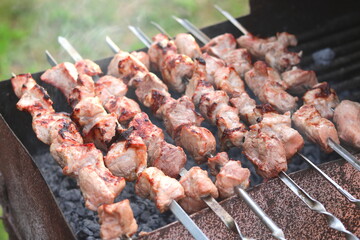 Cooking meat on skewers in barbecue on picnic