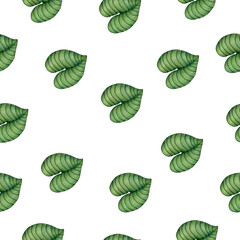 seamless pattern with tropical leaves, tropical summer background for fabric, wrapping or wallpaper, cute hand drawn botanic illustration