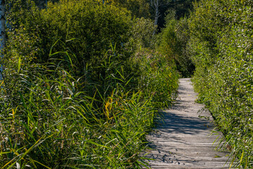Nature reserve Pfrunger-Burgweiler-Ried in autumn