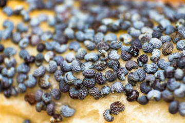  pretzel with poppy seeds macro