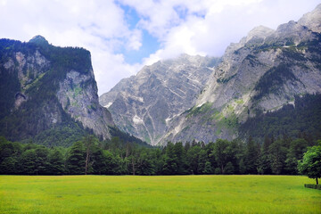 Obraz premium large green grass field with snow mountain view at Konigssee lake in Salzburg Germany
