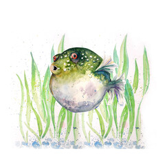 Aquarelle painting of fish sketch art illustration © NATALIIA TOSUN