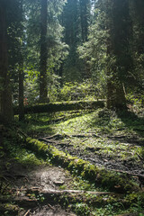 Allphotokz Lake Kolsay-2 Way 20050813 2212 20D S