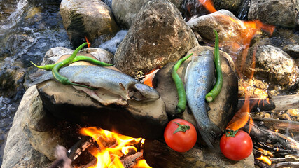 cooking fish on stone by burning wood fire in water stream