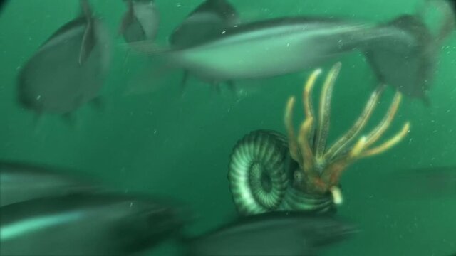 Ammonites attack a school of Leptolepis