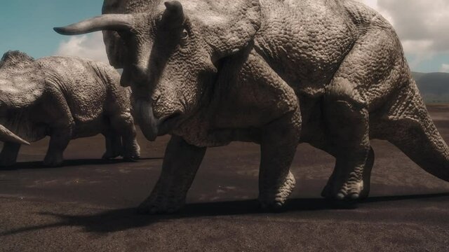 Triceratops Migrate across volcanic plains