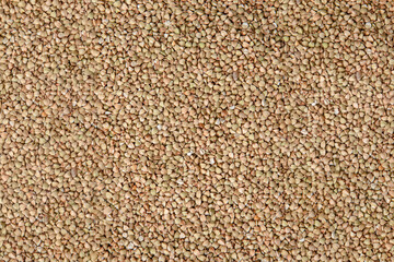 Raw buckwheat grains background texture with place for text