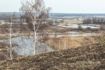 Spring landscape. Beautiful view of nature in early spring. A rare mixed forest and flood plain of a non-sick river on a clear sunny day.