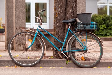 Fototapeta na wymiar Old bicycle leaning on the tree