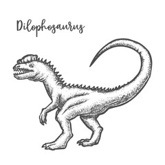 Dilophosaurus dinosaur vintage vector sketch. Prehistoric animal